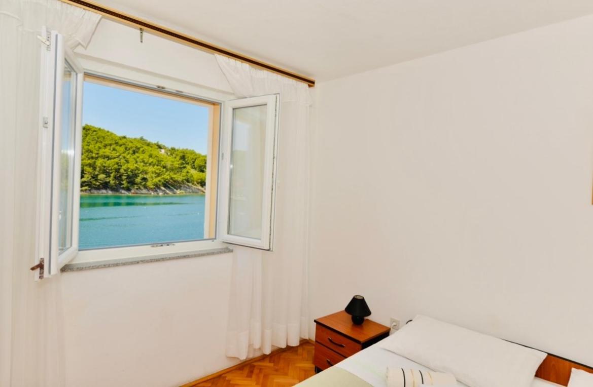 נוביגראד דאלמטיה Apartment Niksa מראה חיצוני תמונה